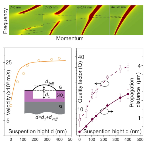 Plasmon in Suspended Graphene IR neaSCOPE+s