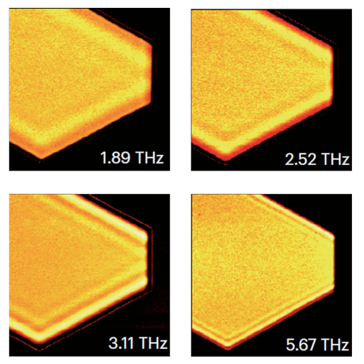 THz Plasmon Polaritons THz neaSCOPE+s