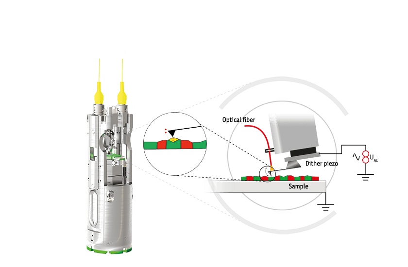microscopes, features, pfm