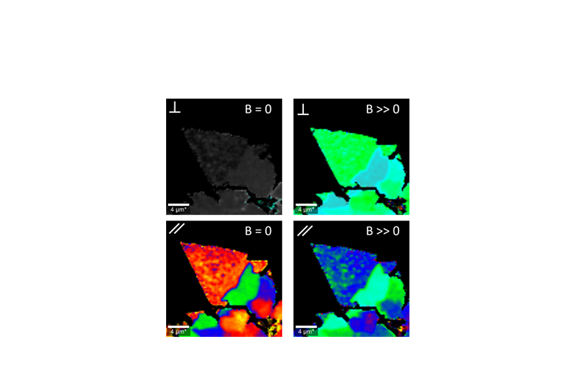 microscopes_confocal_cryoRaman_polarization_upgrade_keyvisual.png