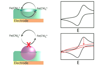 Nanoparticle Imprinted Matrices IR neaSCOPE