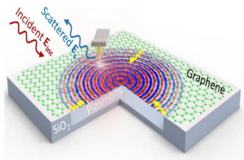 Plasmon in Suspended Graphene IR neaSCOPE+s