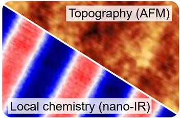 Quantitative Nano Imaging in EUV Lithography IR neaSCOPE+s