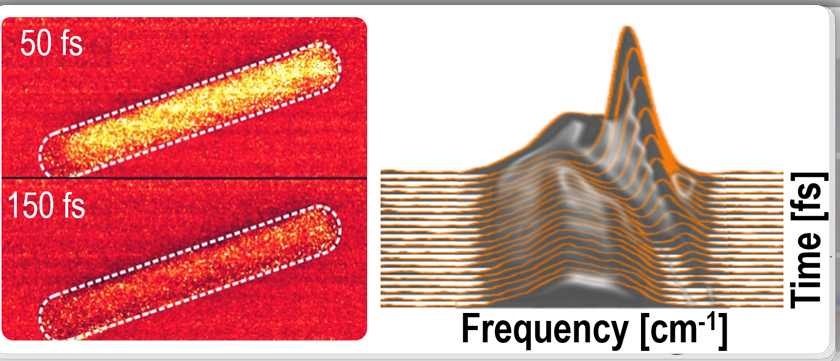 Ultrafast-spectroscopy-measurement.png